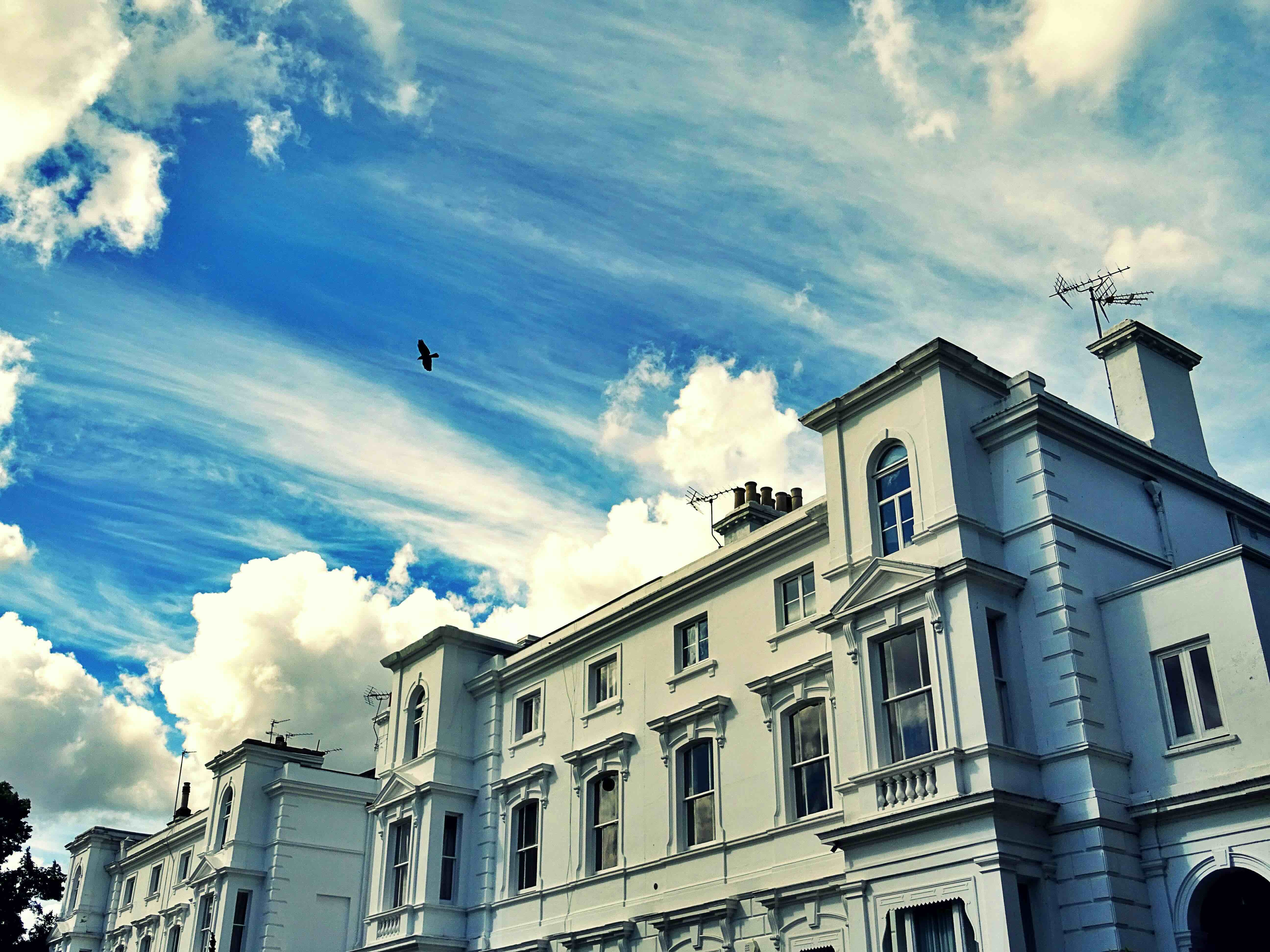 Investment Opportunities: Commercial Properties for Sale in Belgravia and SW1